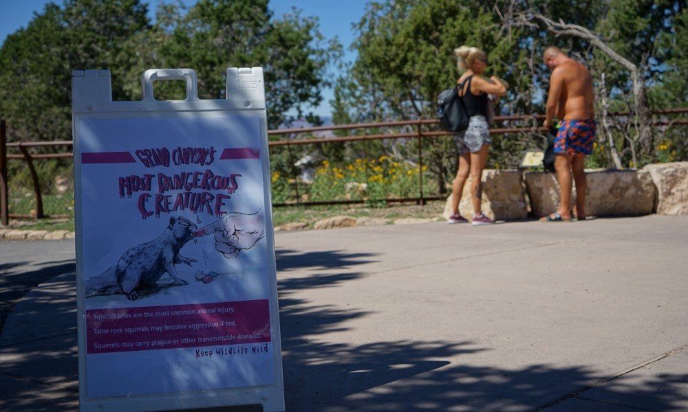 デンジャラスクリーチャーが出るそうです