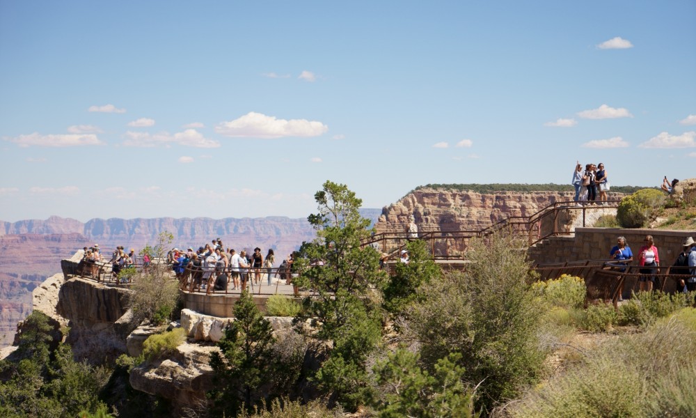 もうずっと見てられます